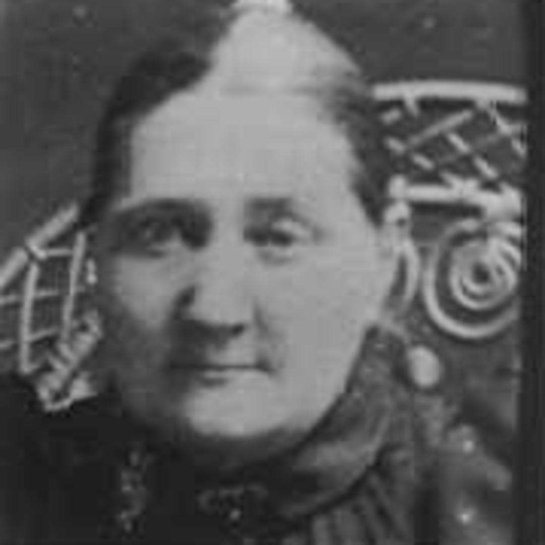 Sarah Jane Carrell (1845 - 1916) Profile
